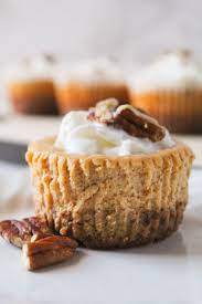 Enjoy and i wish everyone a blessed thanksgiving. Skinny Mini Pumpkin Cheesecakes With A Pecan Crust Gluten Free Grain Free Refined Sugar Fre Mini Pumpkin Cheesecake Pumpkin Cheesecake Paleo Recipes Dessert