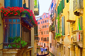 Check spelling or type a new query. Venice Italy Red Flowers Frederico Domondon