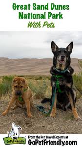 Visiting Great Sand Dunes National Park With Pets Sand Dunes National Park Dog Travel Dog Friendly Hotels
