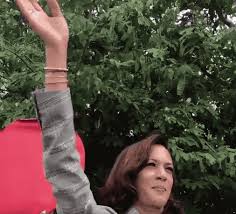 Check spelling or type a new query. This Meme Of Kamala Harris Waving Goodbye Is So Funny I M Wheezing
