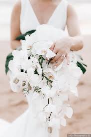 White Florals Beach Theme Wedding Bouquet Hawaii Wedding Flowers Sass Photography Beach Wedding White Beach Wedding Bouquets Wedding Bridal Bouquets