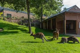 Za jedno vstupné se podíváte do tří objektů v pražské troji: Zoologicka Zahrada Hl M Prahy Expozice Australske Fauny Vw Wachal A S