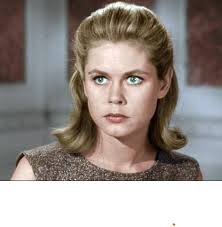 Darren Stevens: Reflections