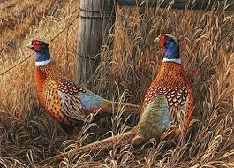 I Ll Always Love Pheasant Hunting Fazant Dieren Schilderen Dieren