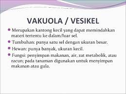 We did not find results for: Pengertian Sel Hewan Dan Tumbuhan