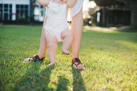 The Rollins Family — Sarah E Dunn