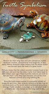 Pin By Nicole Kirmes On Sea Turtle Spirit Animal Turtle Symbolism Turtle Turtle Quotes