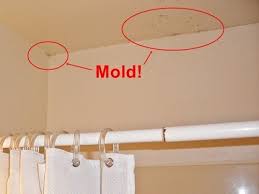 Pin By Amy Reiniesch On Bathroom Ideas And Tips Cleaning Hacks Clean Black Mold Deep Cleaning Tips