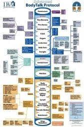 The Comprehensive Bodytalk Protocol Chart From The