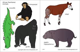 African Jungle Or Rainforest Animals Free Printable Templates Coloring Pages Firstpalette Com Rainforest Animals Animal Printables African Jungle