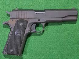 Image result for Wheat Beige 1991 Colt