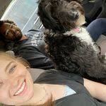 Allie Houck's Instagram, Twitter & Facebook