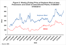 Understanding The Pricing Of Distillers Grain Solubles