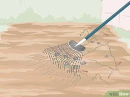 Check spelling or type a new query. How To Prepare The Soil For A Vegetable Garden 15 Steps