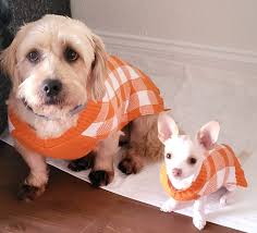 Hi! We're new to the group. My name is Bella, and my brother's name is  Cooper. I tan better than Cooper does… The second photo is of me