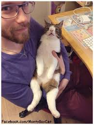 HAPPY #WorldAnimalDay Can you name this one?