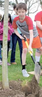 Arbor Day Assistance