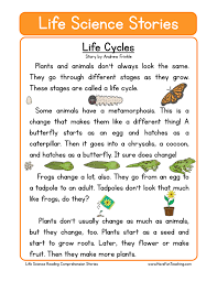 Reading comprehension science kindergarten worksheets. Life Cycles Life Science Reading Comprehension Worksheet Have Fun Teaching