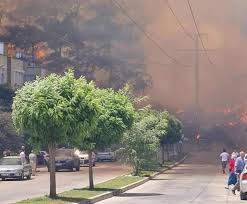 Dintre aceste incendii, 36 au fost îngrădite, dar eforturile de stingere a incendiilor pentru cele 17 rămase continuă, peste 140 de persoane necesitând tratament sau suferind. Lxmap8efafma0m