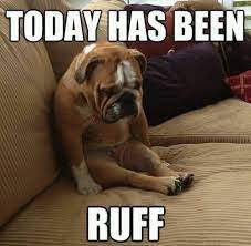 25 Mood Improving Memes For When You Re Having A Bad Day At Work Fairygodboss