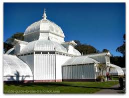 Check spelling or type a new query. San Francisco Conservatory Of Flowers A Local S Review
