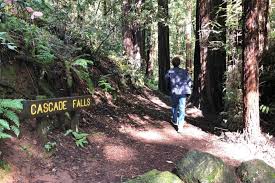 Guida turistica di mill valley. An Easy Family Waterfall Hike To Mill Valley S Cascade Falls Marin Mommies