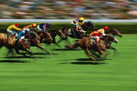 وضع رهان trifecta محاصر في سباق الخيل أو الكلاب