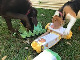 These toys / games encourage may encourage stillness, as your dog licks and chews these diy enrichment. Canine Enrichment Toys Online Shopping