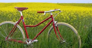Bella Ciao Santo Subito Sportliches Damenfahrrad Bei Finest Bikes In Starnberg Bei Munchen Oder Online Kaufen Damenfahrrad Fahrrad Rad