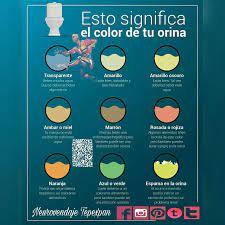 Haz Tu Cita Al 8181393399
