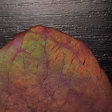 When cooking roast beef it is important to use the correct beef cooking times. Deli Meat Rainbow Shine Is It Spoiled Safe To Eat Kitchn