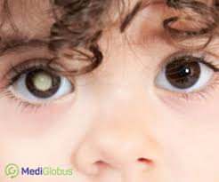 Воспитывали марка мама и бабушка. Lechenie Retinoblastoma Za Rubezhom Ceny 154 Klinik Otzyvy Mediglobus