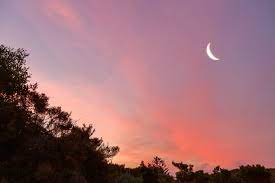 Look out for the new moon in cancer on july 9, 2021. June 2020 S New Moon In Cancer How It Affects Your Zodiac Sign