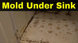 The key factor to consider when purchasing a. Getting Rid Of Black Mold Under Sink Fast Easy Method Youtube