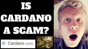 In conclusion, is cardano a good investment? Is Cardano A Good Investment Read This Before Deciding Your Online Revenue