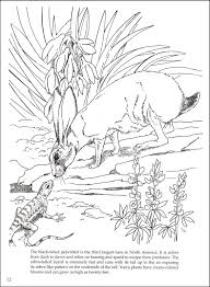 Yosemite national park coloring page. Grand Canyon Plants And Animals Coloring Book Dover Publications 9780486472942