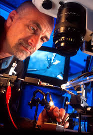 IMPLEMENTATION PLAN FOR THE NETWORK INTEGRATED BIOCOLLECTIONS ALLIANCE