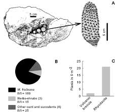 This place is famous for its great service and friendly. Endophytic Bacteria Of The Rock Dwelling Cactus Mammillaria Fraileana Affect Plant Growth And Mobilization Of Elements From Rocks Sciencedirect