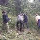 Youth Rangers at Crickley Hill