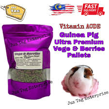 Guinea pigs also played a big part in peruvian medicine and religion. Guinea Pig Ultra Premium Vege Berries Food Shopee Malaysia