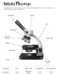 Parts Of A Microscope Free Printable Free Printables Microscope Lesson Microscope Lesson Plan