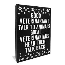 Appreciation gift ideas the veterinarian tech will love and appreciate. Graduation Gifts For Veterinarians 30 Best Ideas Of 2021