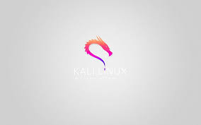 How a hacker could attack web apps with burp suite & sql injection. Kali Linux 1080p 2k 4k 5k Hd Wallpapers Free Download Wallpaper Flare