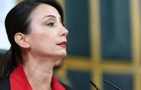 Vatandaşlar: “Başka canlar gitmeden, Yüksekova'daki sokak köpekleri  topyekün toplatılmalı”