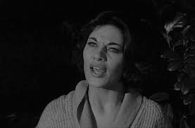 Cody's Film, TV, and Video Game Blog: Franchises: The Fly. Curse of the Fly  (1965)