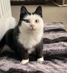 Change your perspective with a smaller glass