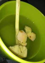 Pin On Makanan Pebukaan