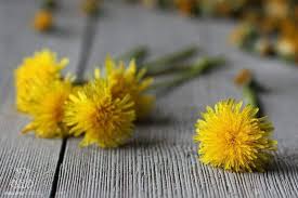 The flowers contain vitamin a and offer a sweet and mild flavour. Benefits Of Dandelion For Detox Digestion Hormone Balance