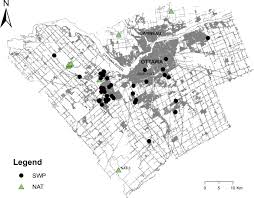 Canada got its name by mistake. Stormwater Ponds As Habitat For Odonata In Urban Areas The Importance Of Obligate Wetland Plant Species Springerlink