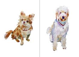 Once i receive the photos i will get back to you and discuss composition ideas and color schemes. Custom Watercolor Pet Portraits And Dog Illustrations